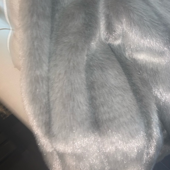 Beautiful silver coat - Picture 5 of 5